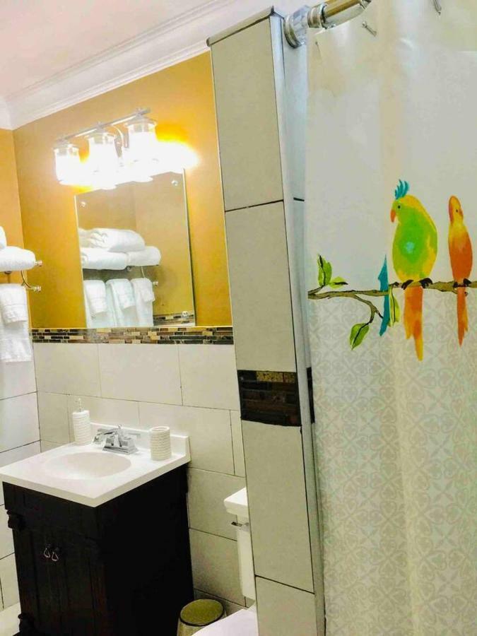 Bella Vista Villa Kingston Dış mekan fotoğraf