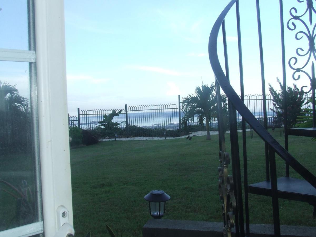 Bella Vista Villa Kingston Dış mekan fotoğraf