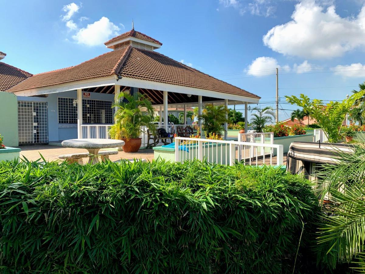 Bella Vista Villa Kingston Dış mekan fotoğraf